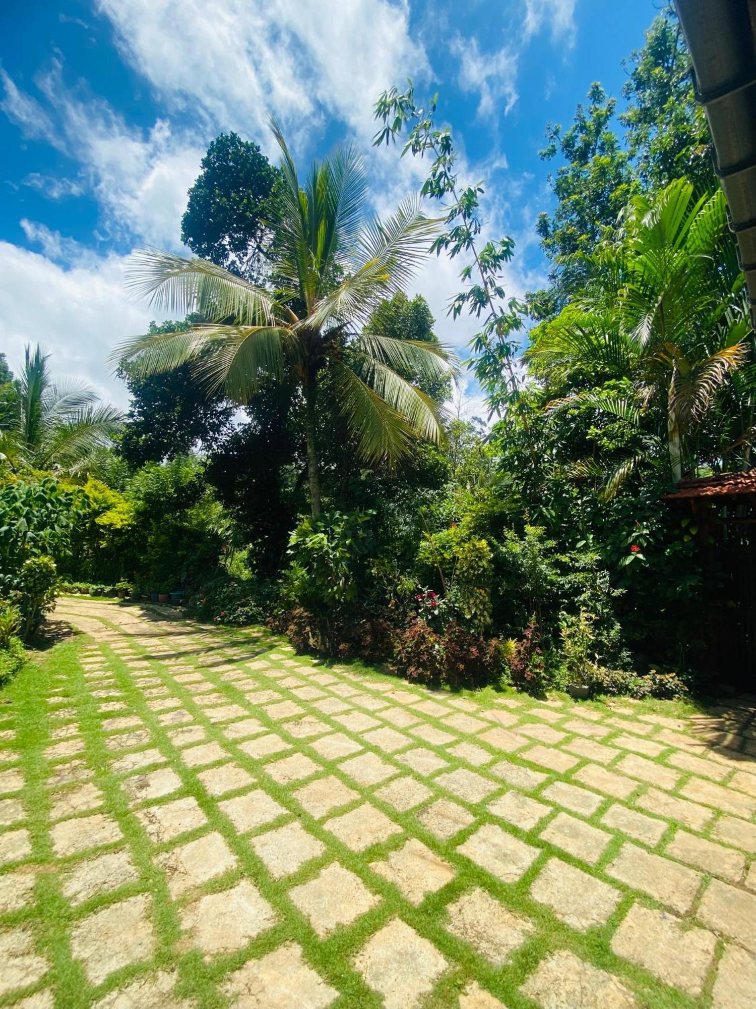 Bed & Breakfast Treetops