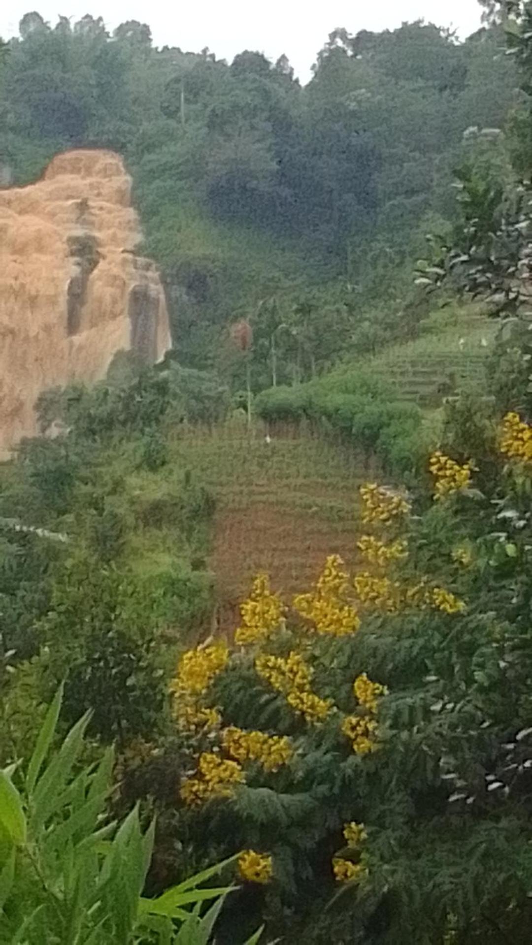 Nature's Glow And Restaurant Ella
