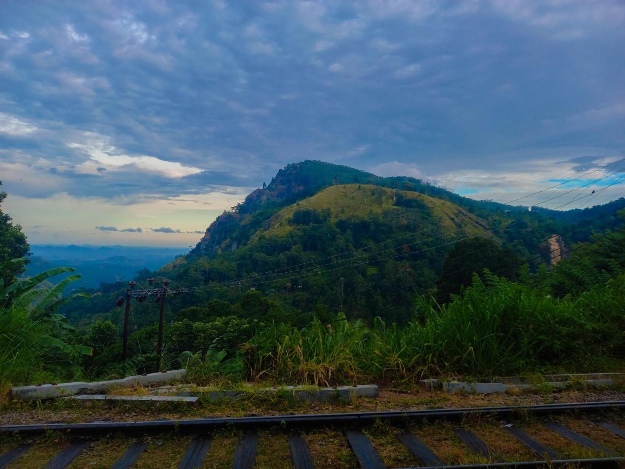 Happy View
