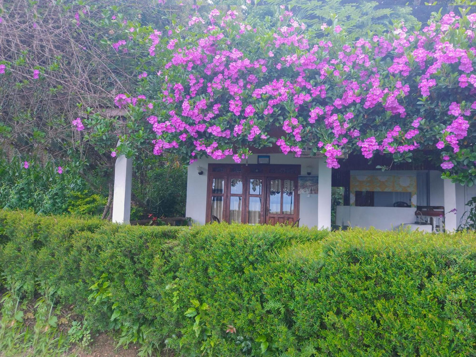 Happy View Homestay *