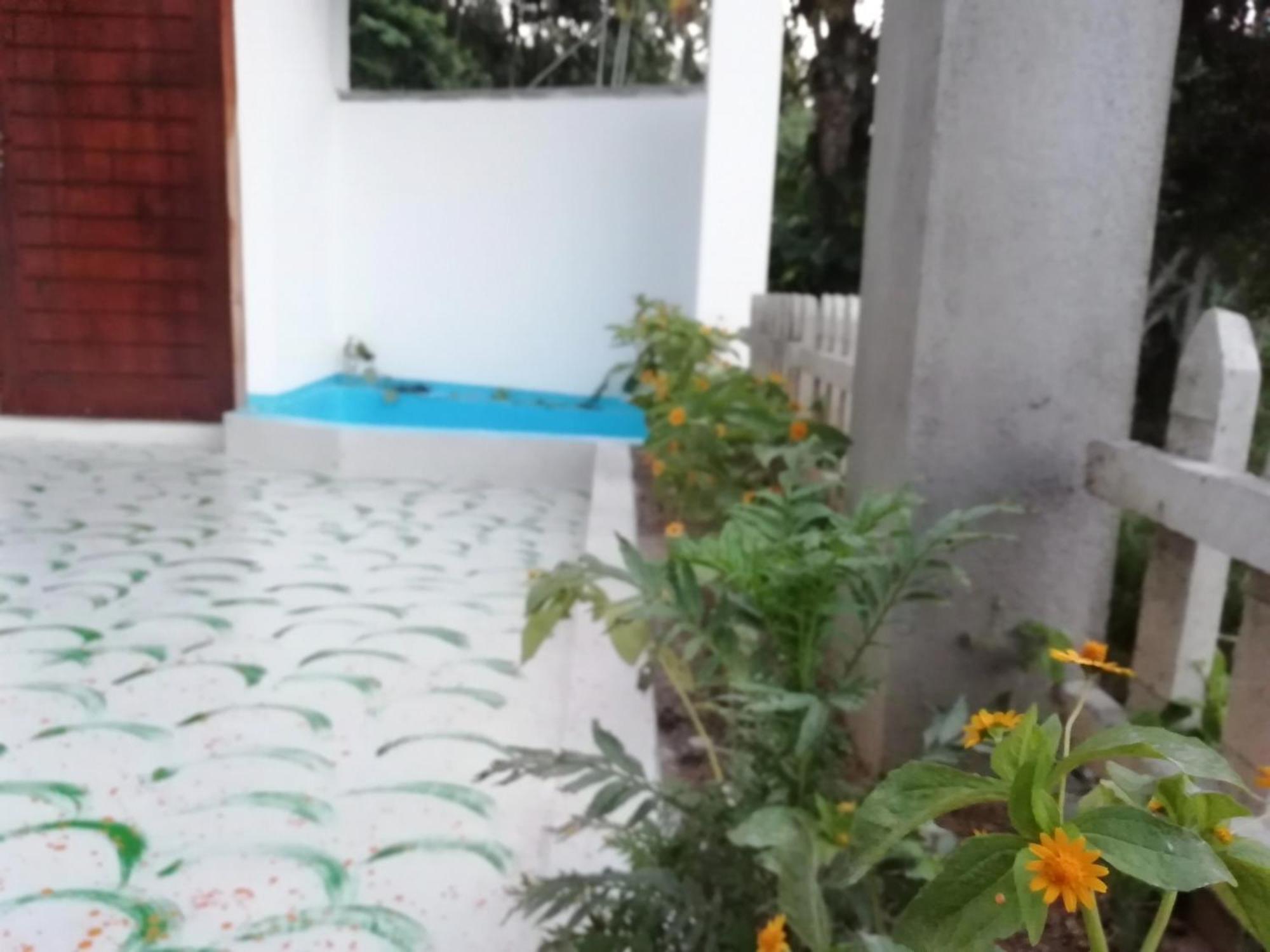 Homestay Delightful Surround *