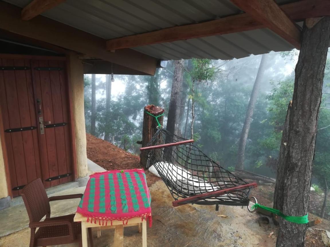 Mount Paradise Lodge