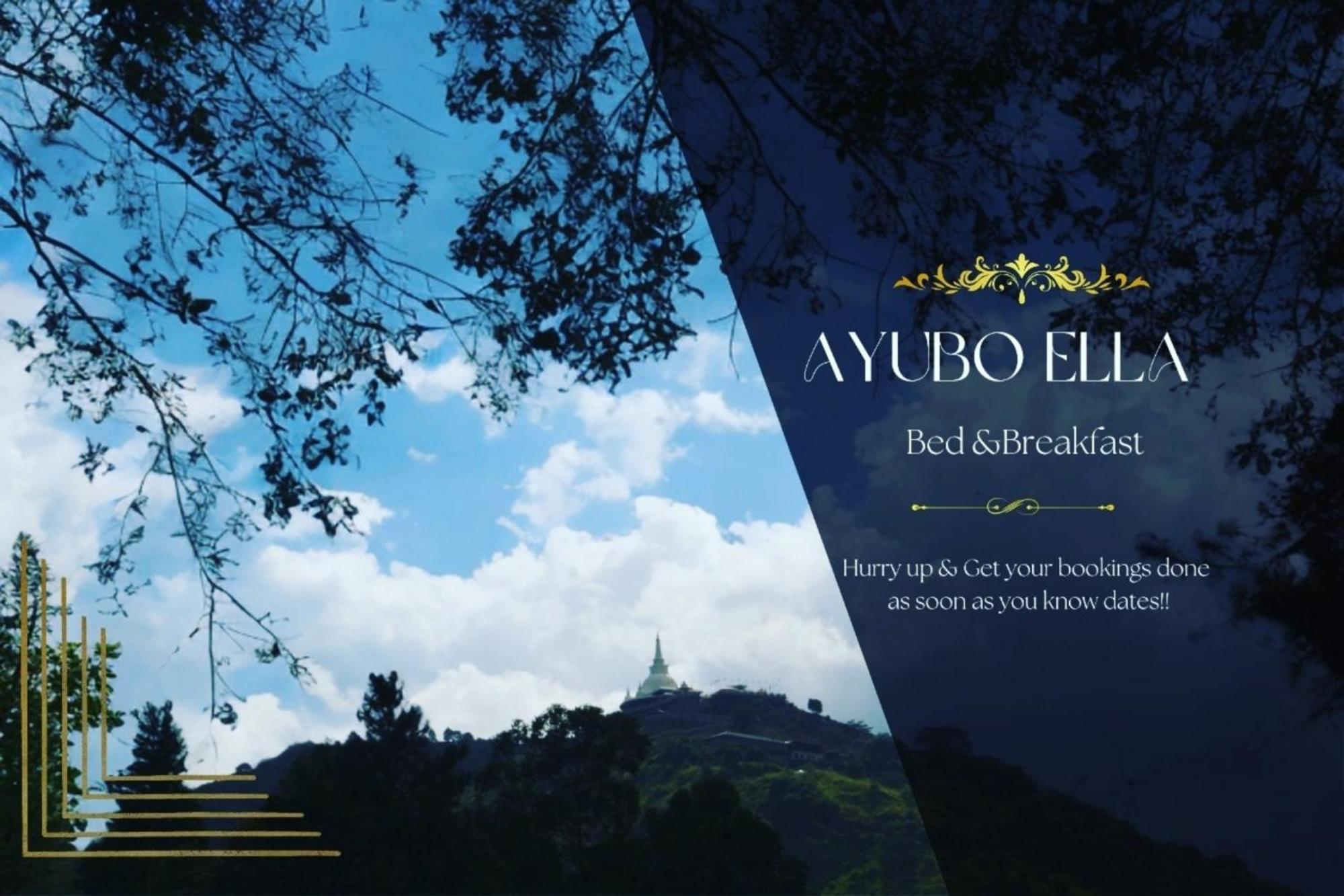 Ayubo - Lodge *