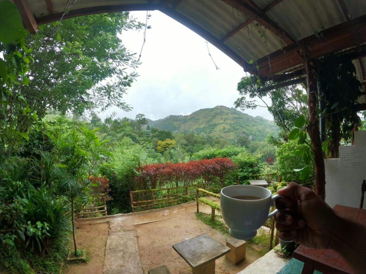 Guest house Serene
