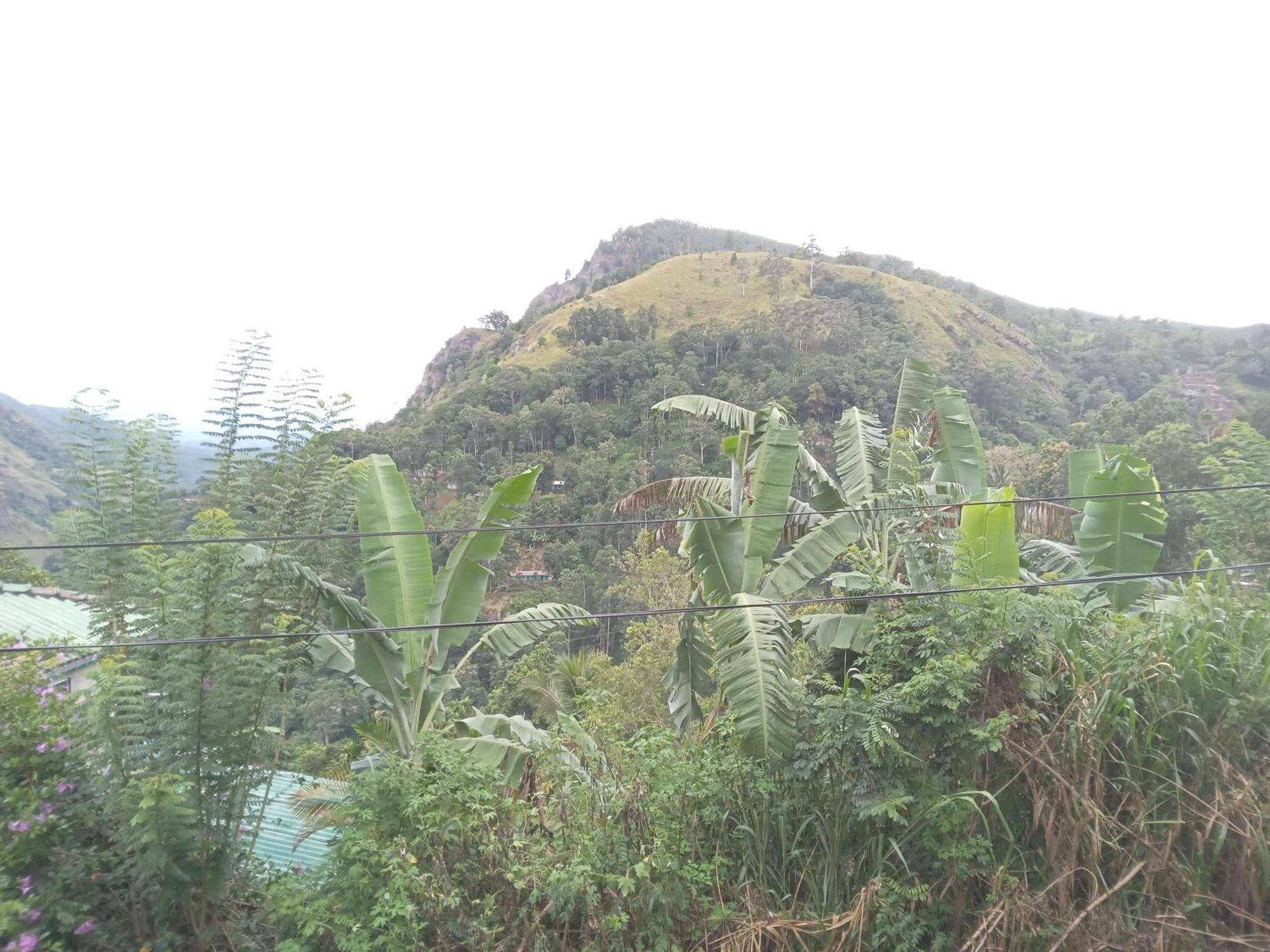 Chamodya Country house Ella