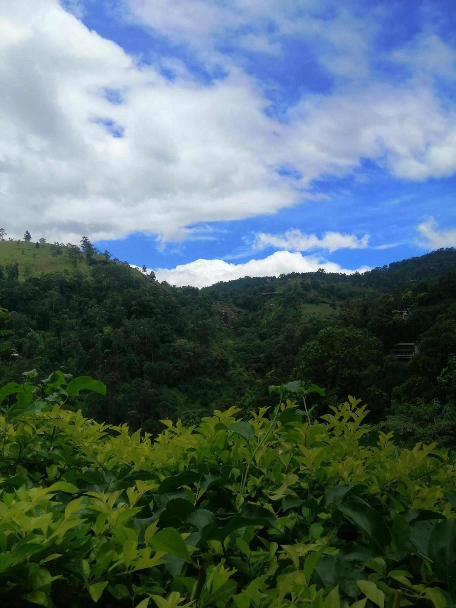 Homestay Super View