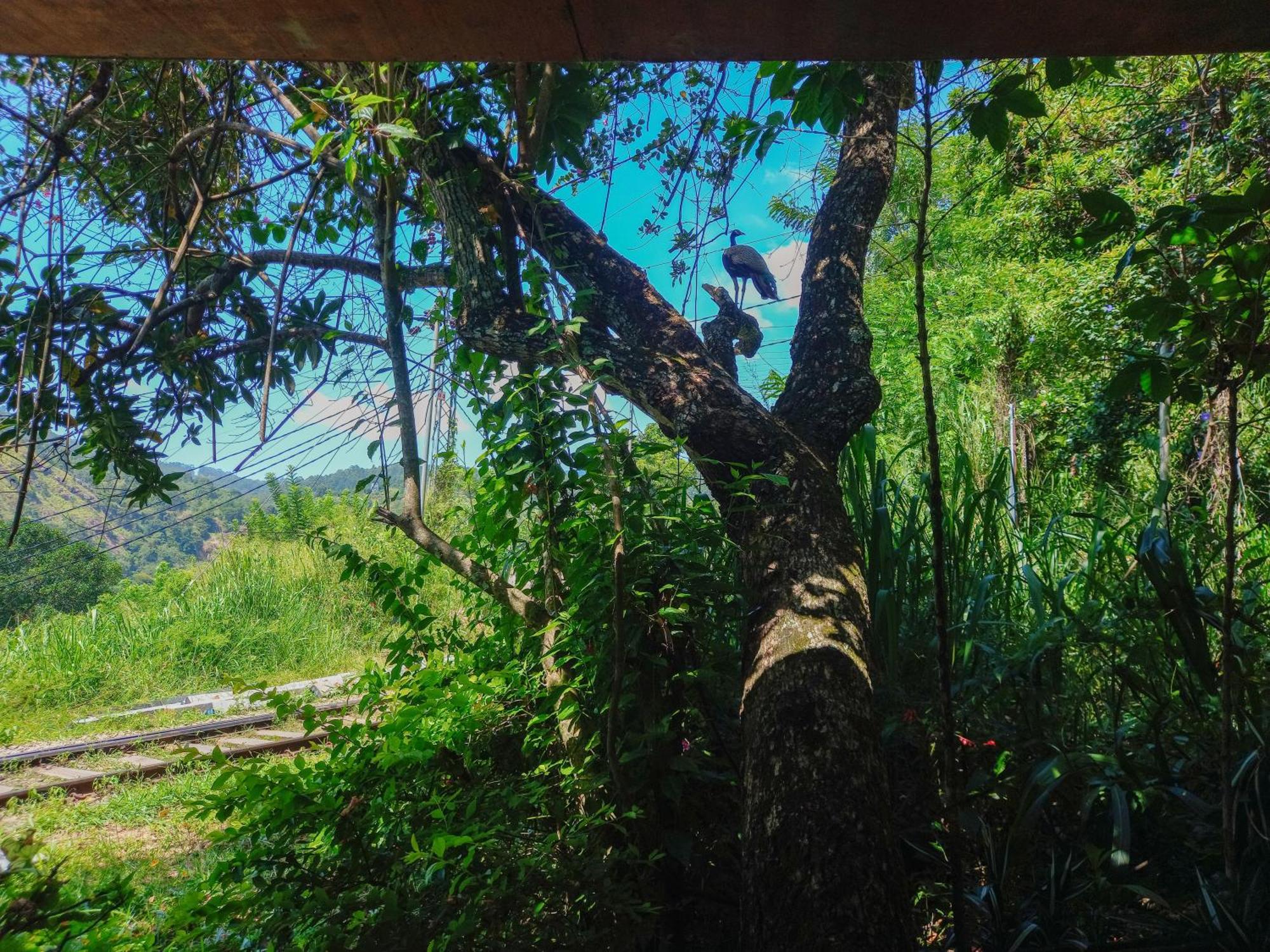 Homestay Happy View *