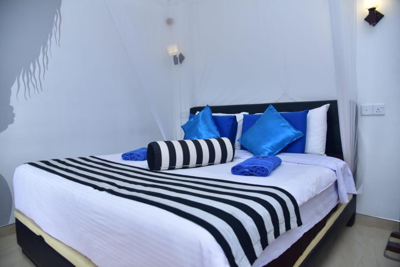 Nimal Nest *