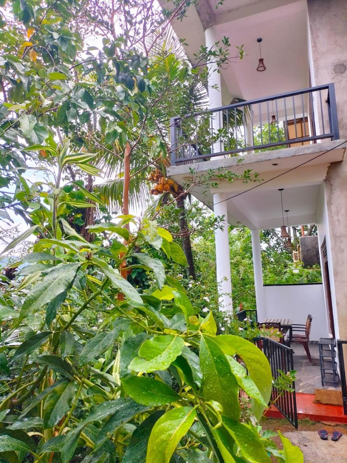 Ella Cloud Castle Homestay Homestay *