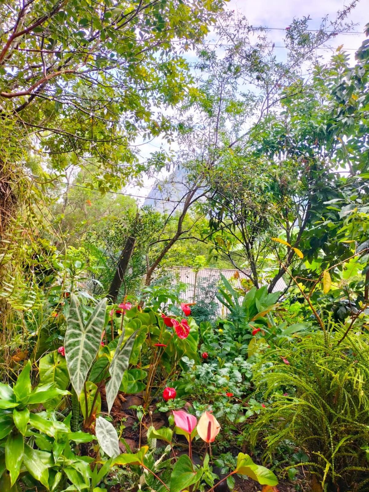 Ella Cloud Castle Homestay Homestay