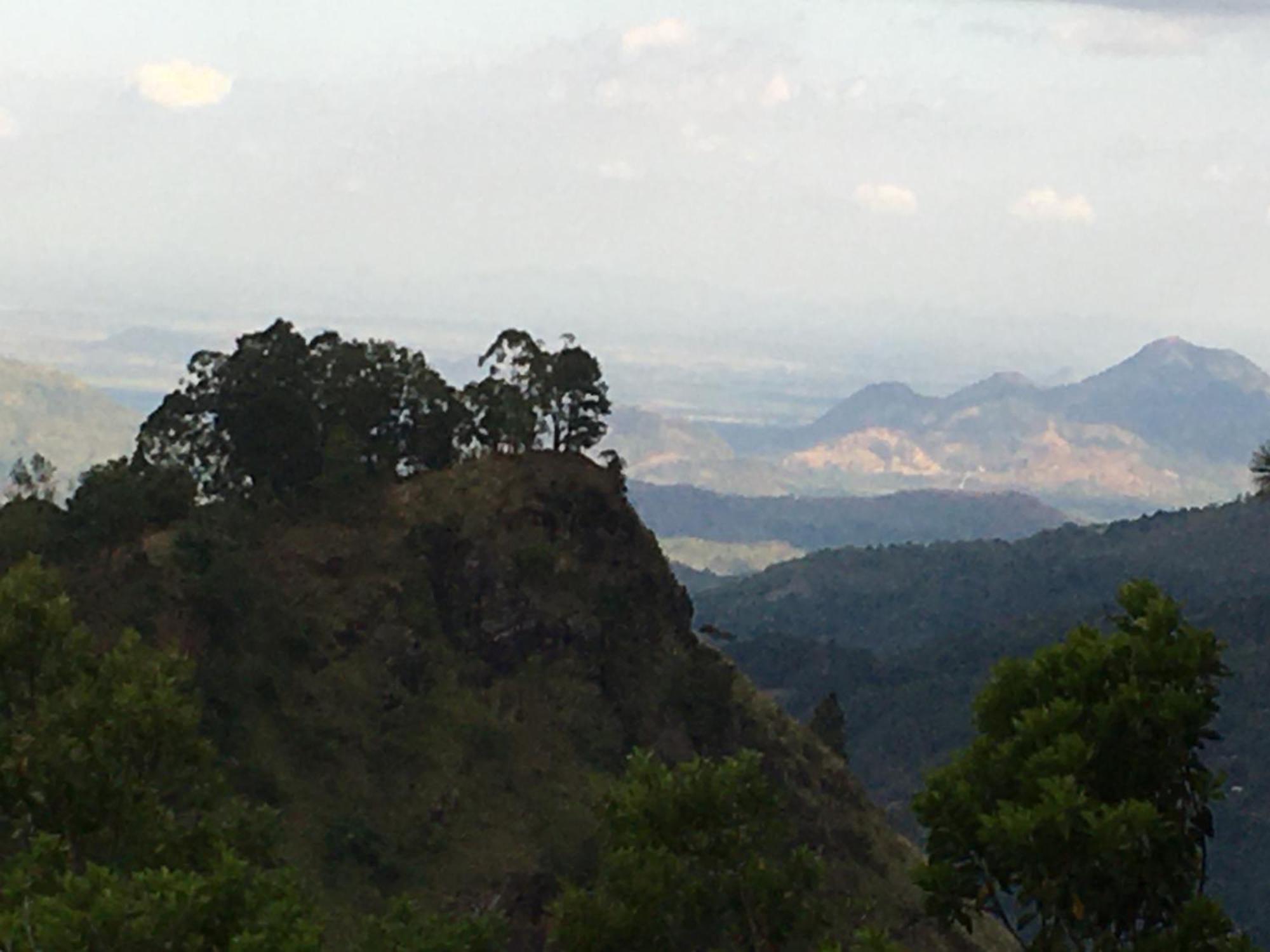 Mount Paradise *