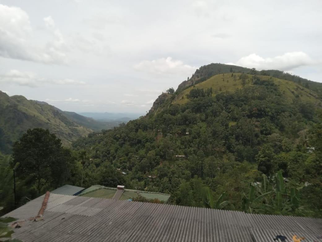 Divine View Ella