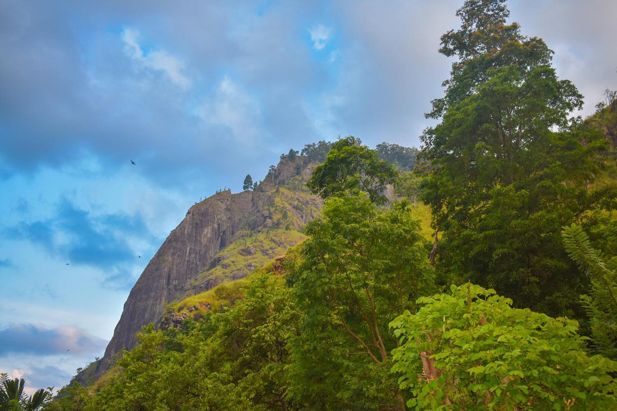 Guest house Nature On Rock *