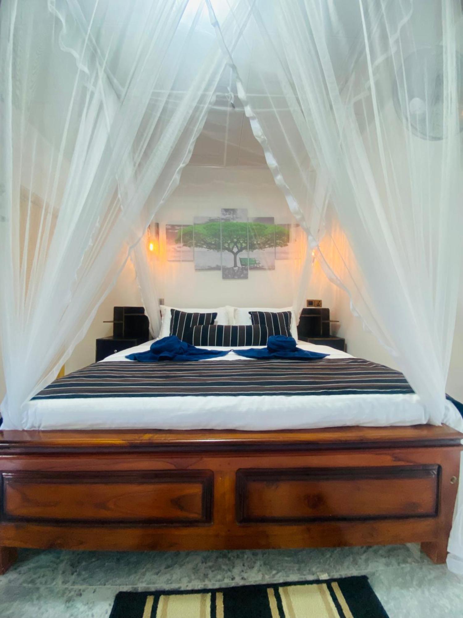 Treetops Bed & Breakfast