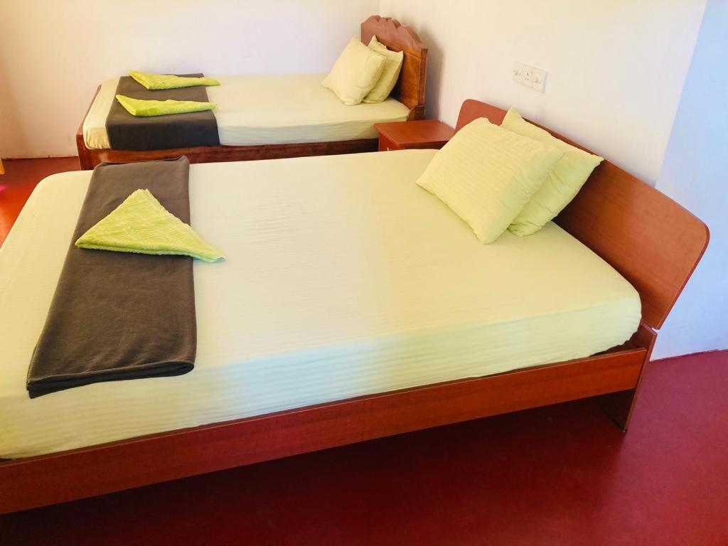 Silent Nest Bed & Breakfast