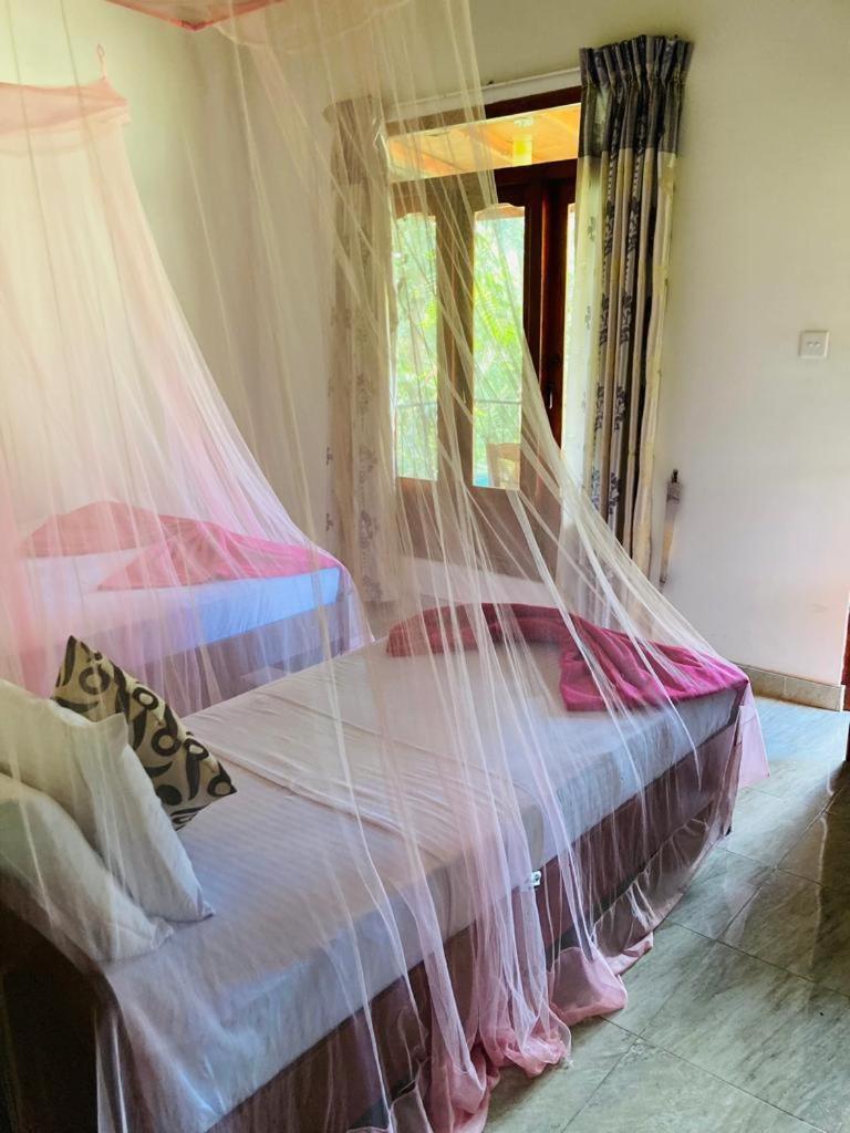 Silent Nest Bed & Breakfast Ella