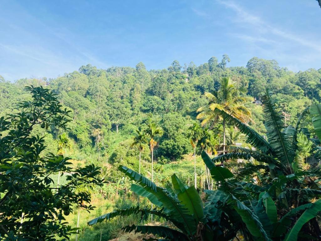 Silent Nest Bed & Breakfast 5*