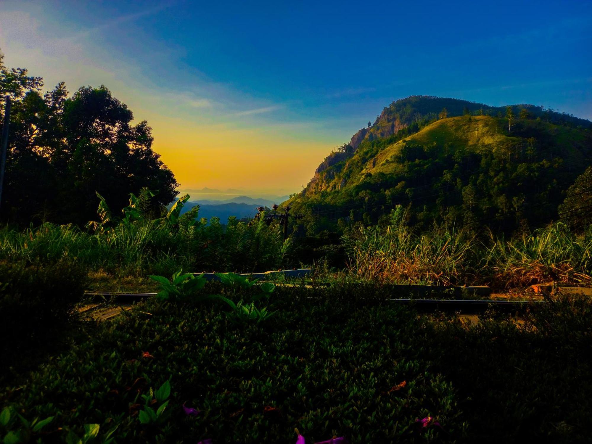 Happy View *