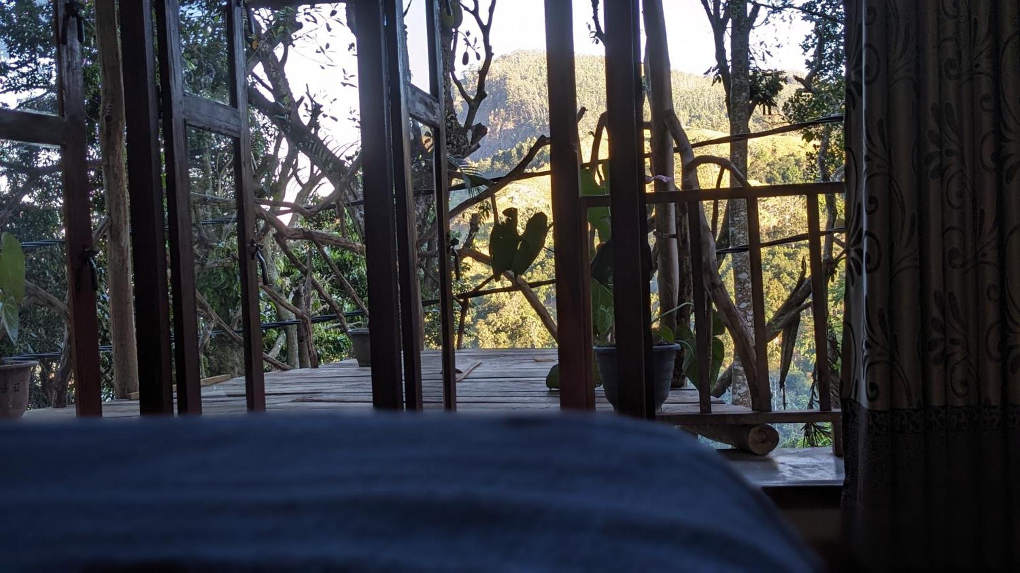Nature Nest Homestay
