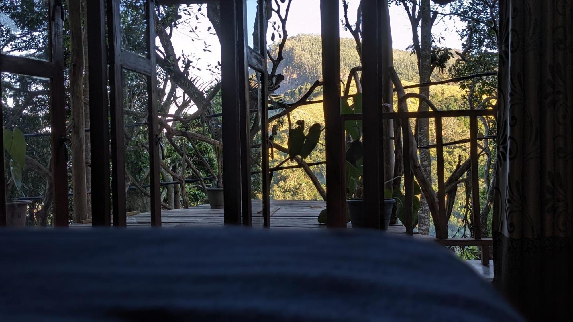 Homestay Nature Nest *