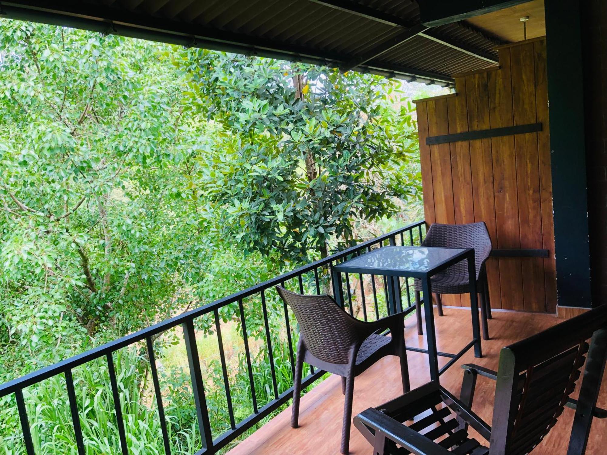 Wild Guest house *