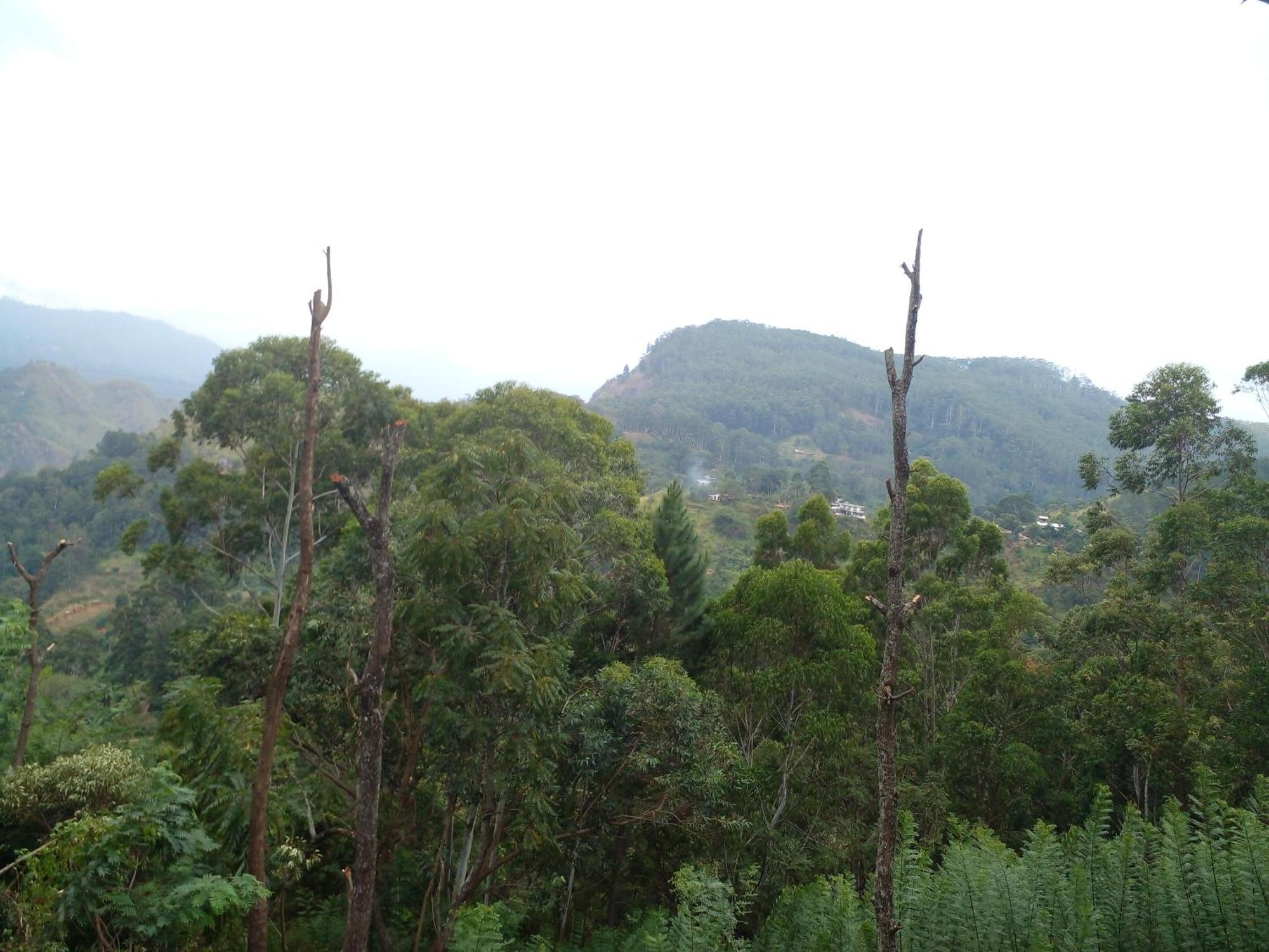 Villa Racy Nature