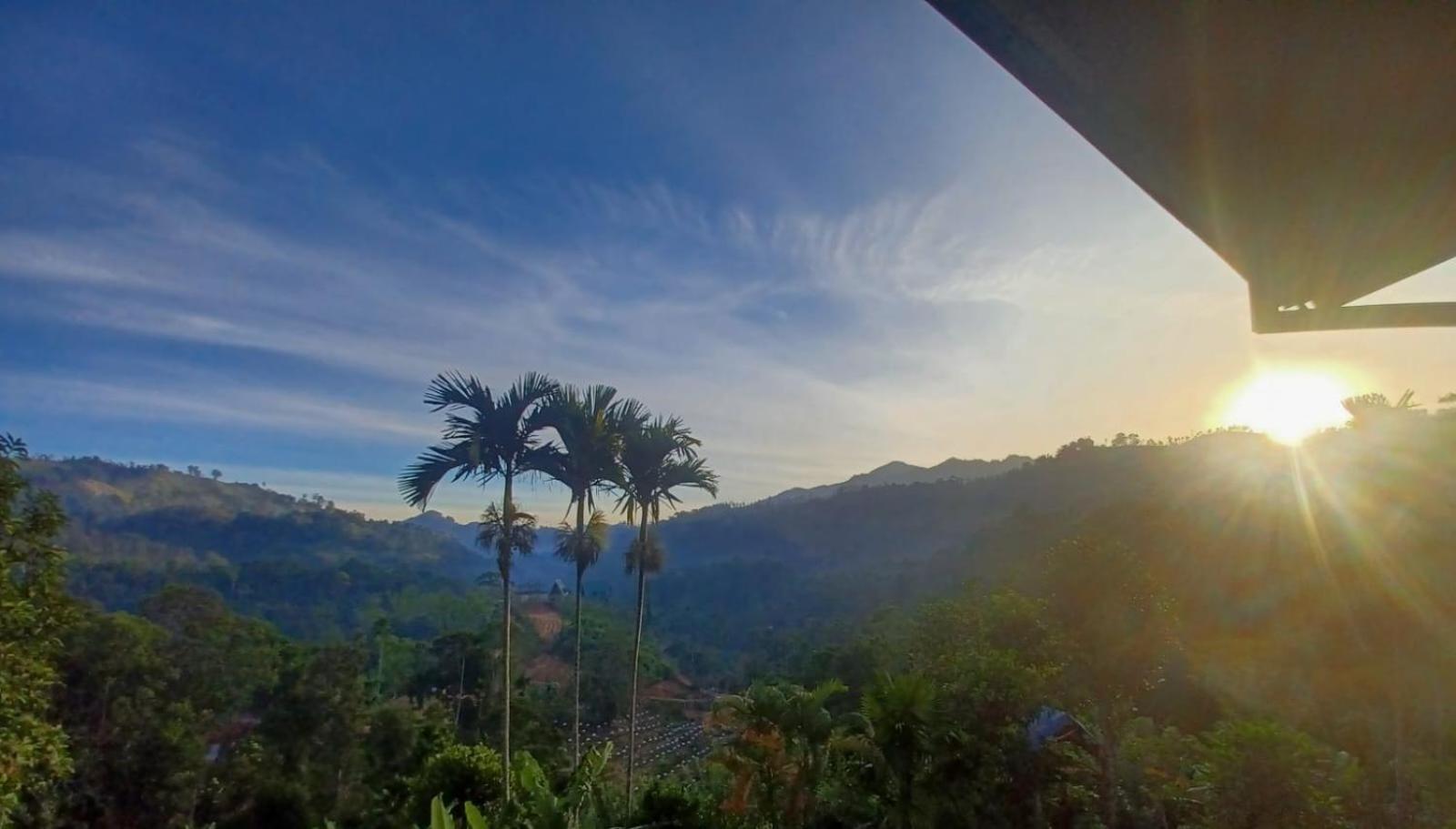 Panorama Ella