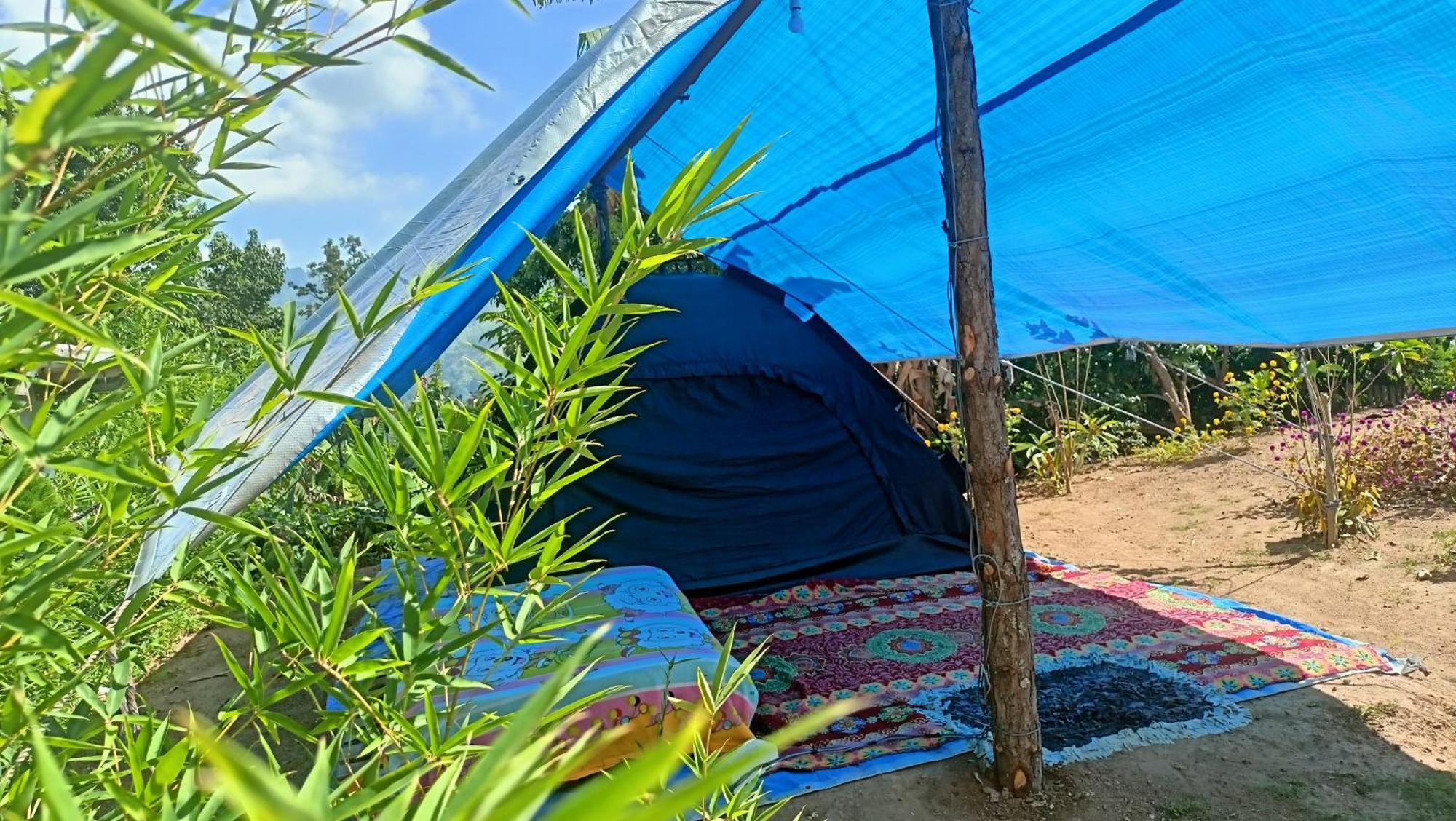 Luxury tent Freedom Camp