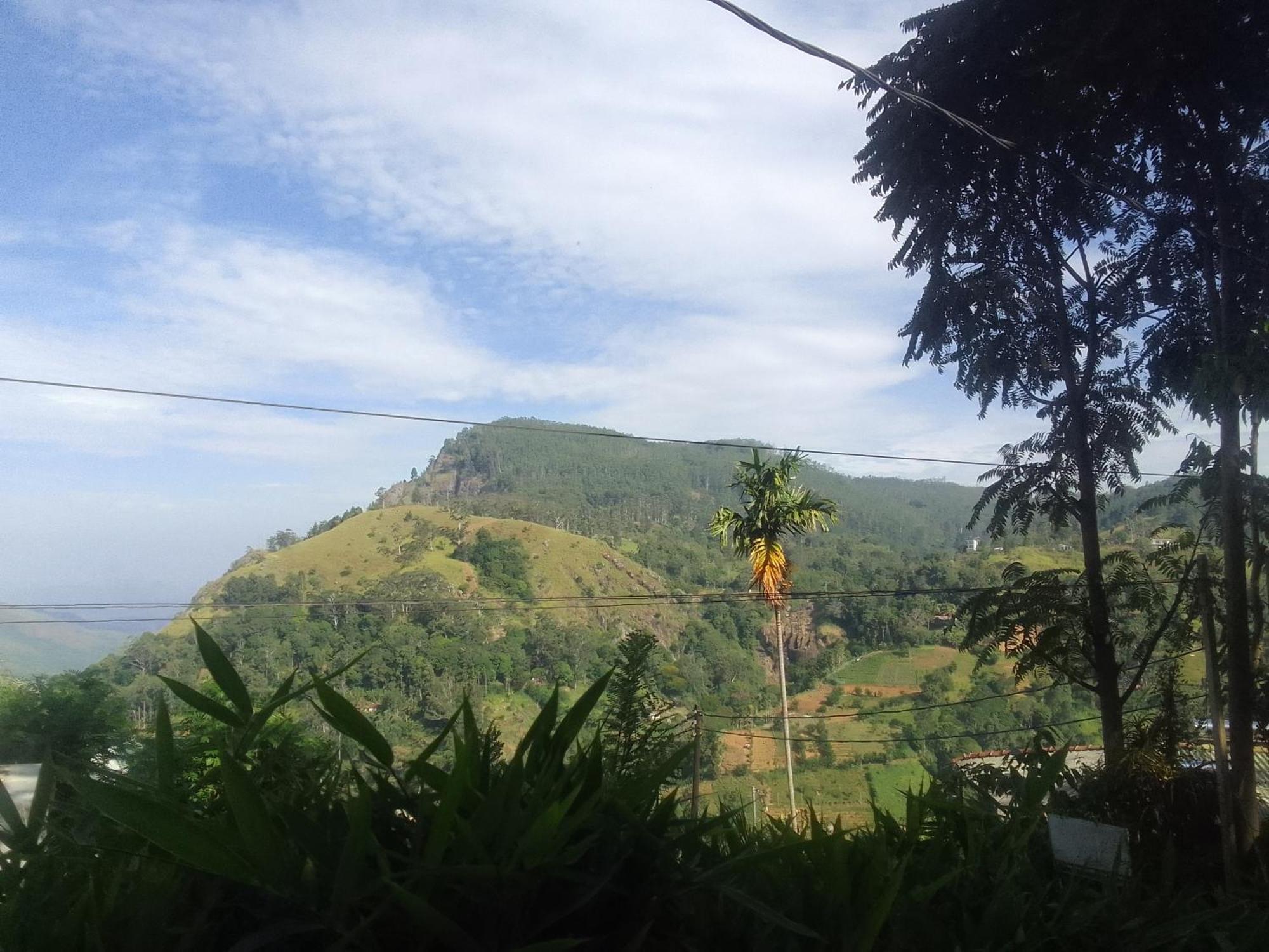 Homestay Elegant Hill