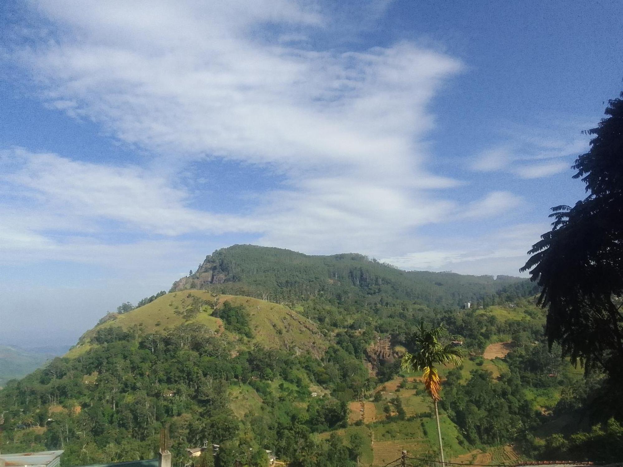 Elegant Hill