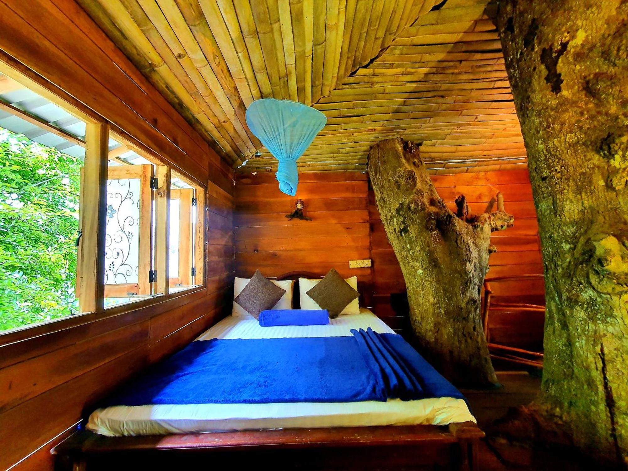 Bed & Breakfast The Winsome & Tree House Ella