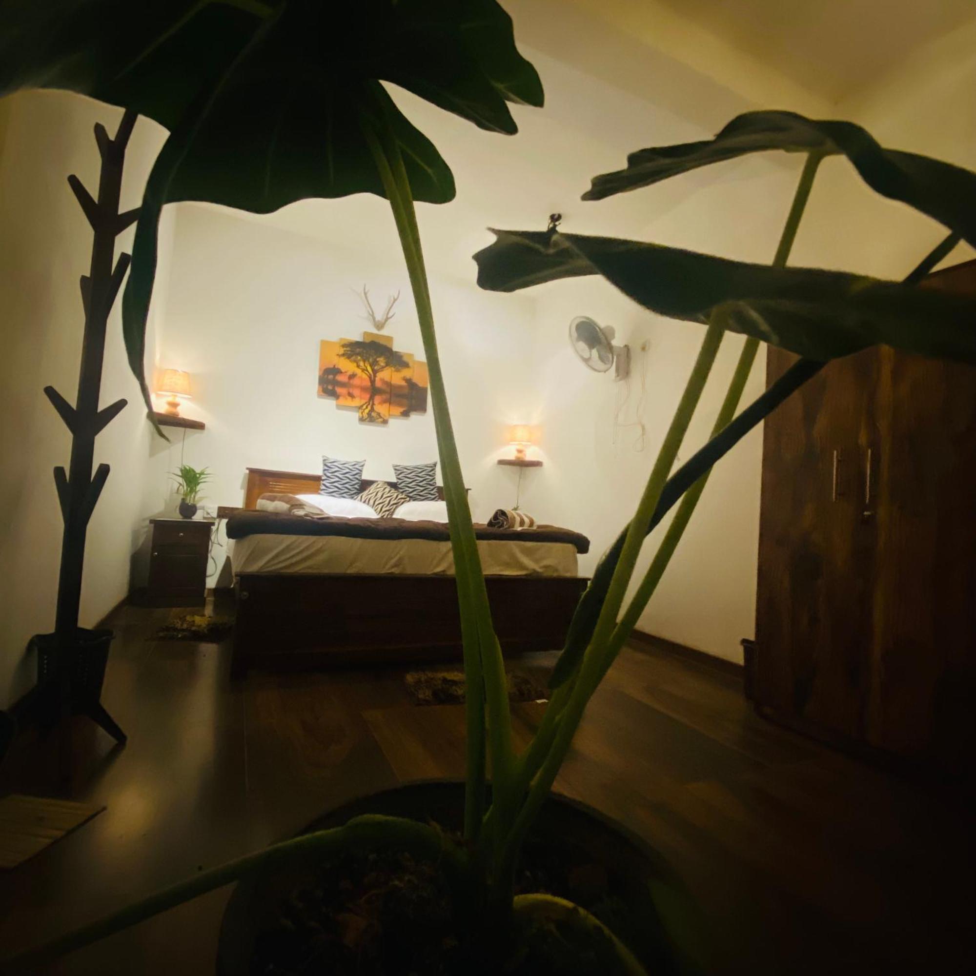 Homestay The Kingdom Of Ella