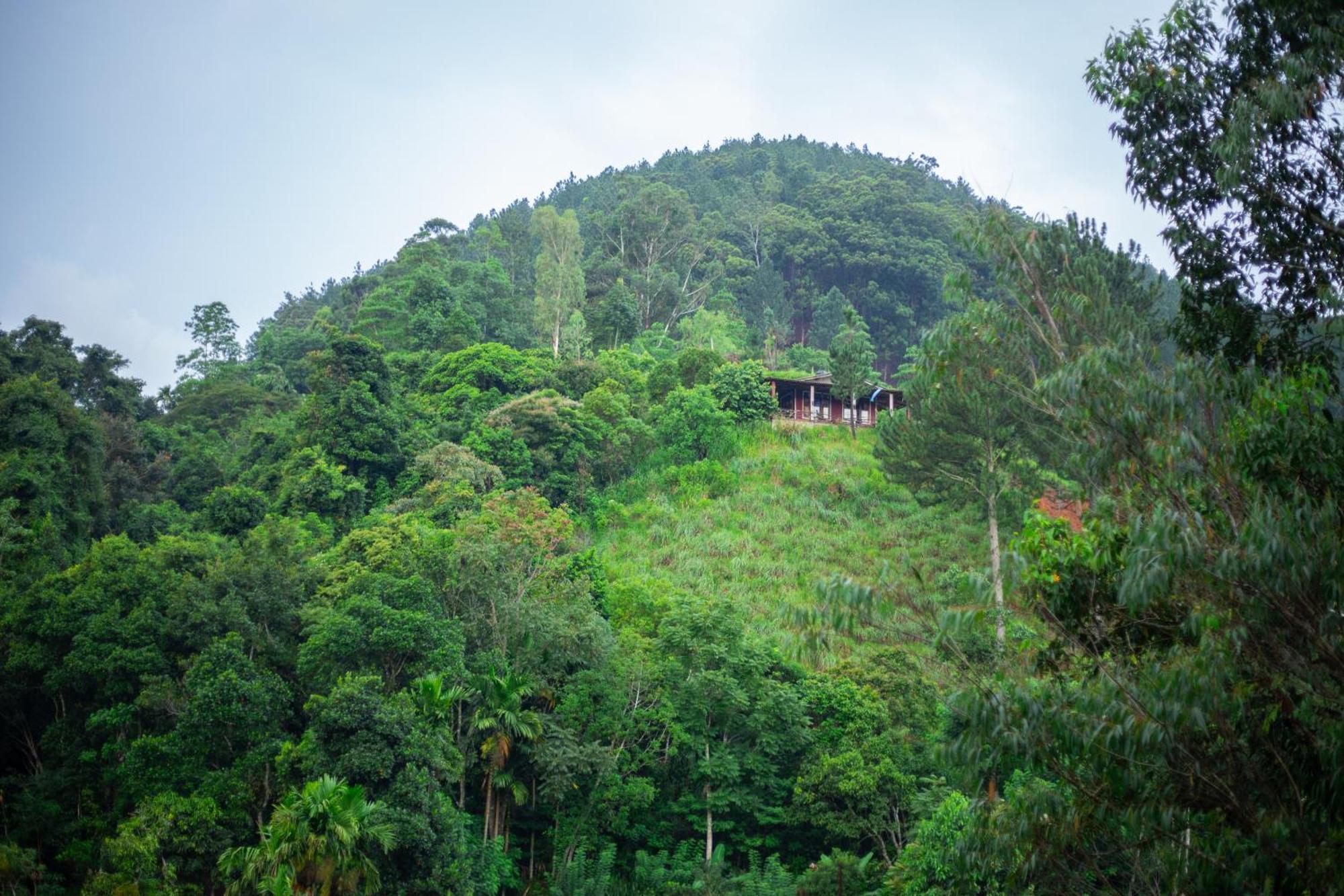 Guest house Namara *