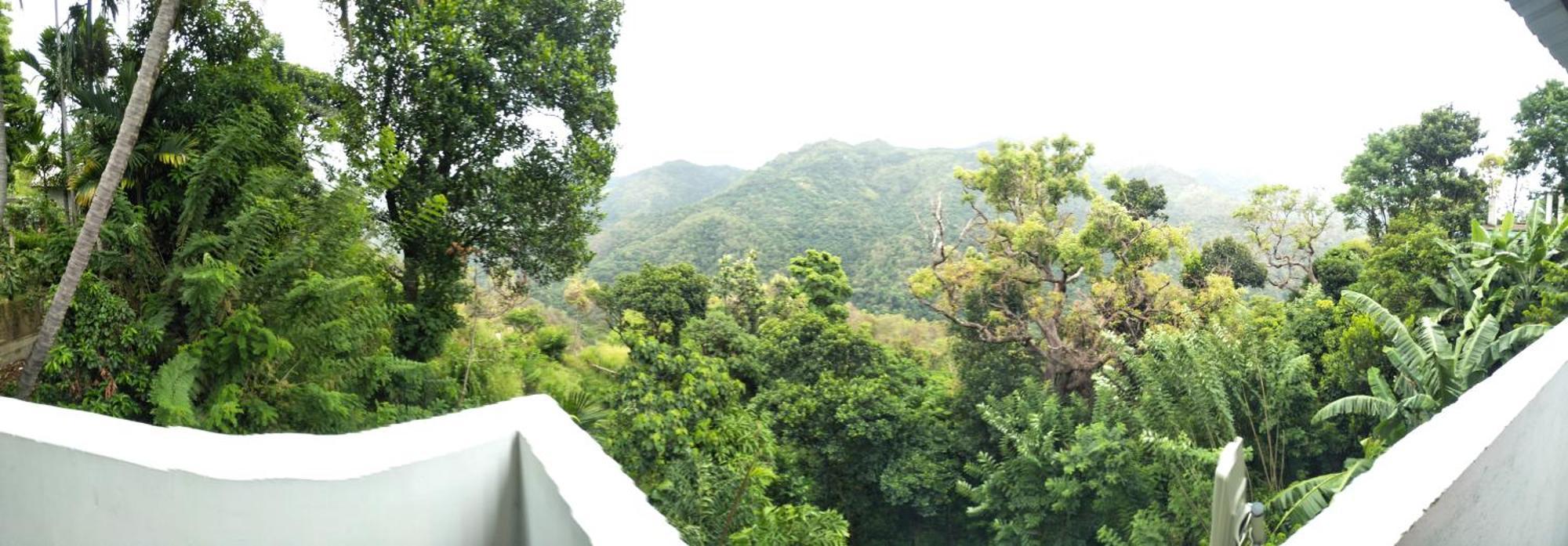 Green Cage & Restaurant Hotel Ella