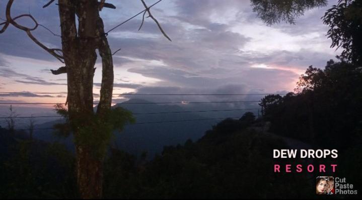 Dew Drop Resort Ella