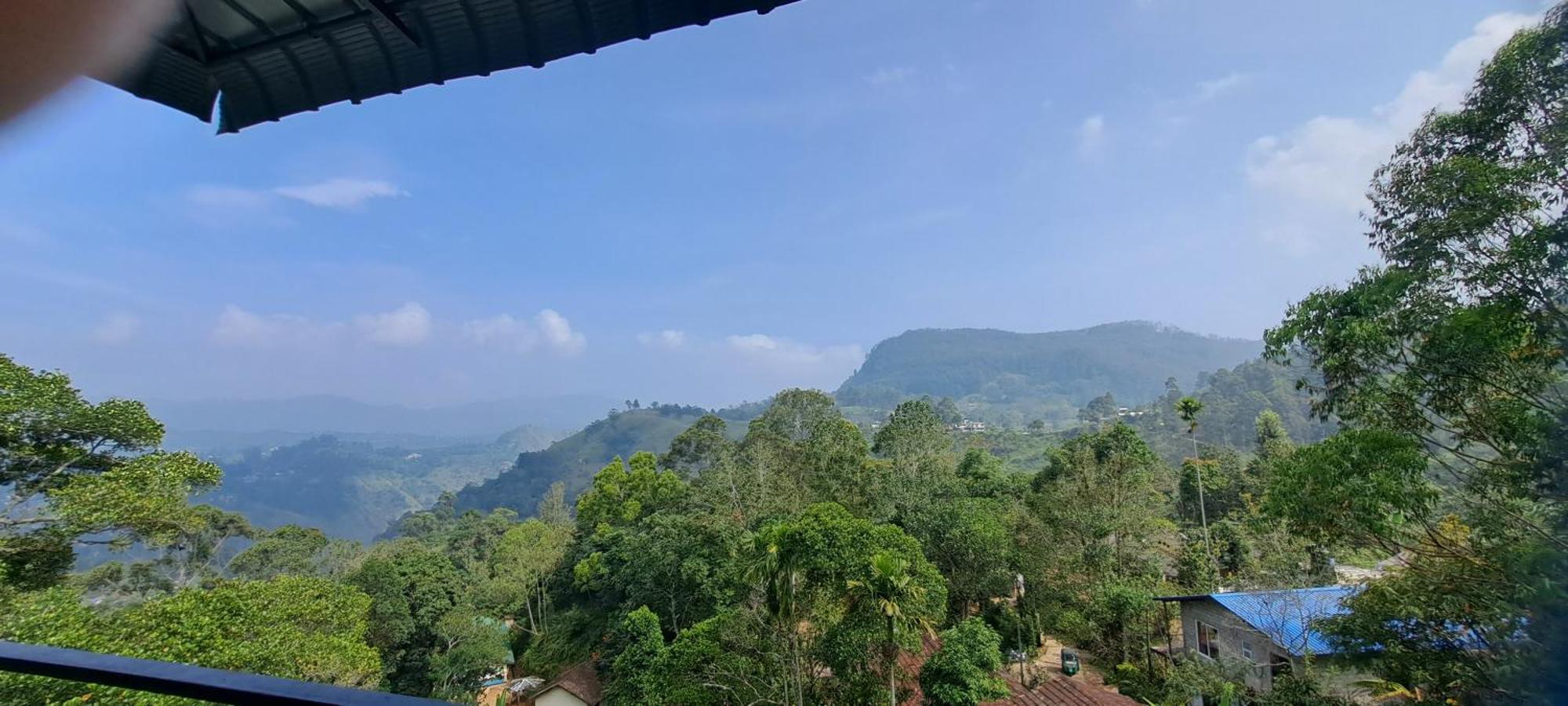 Homestay The 