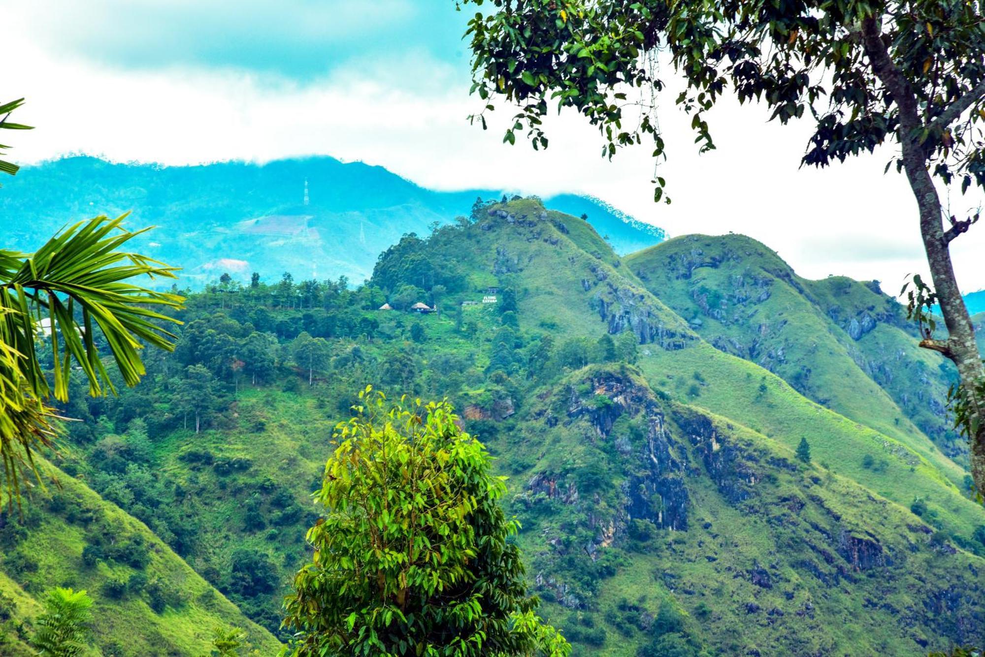 Homestay Nimal Nest