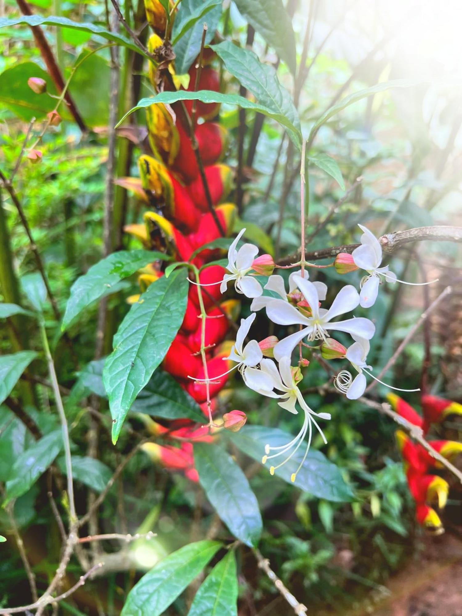 Guest house Secret Paradise *