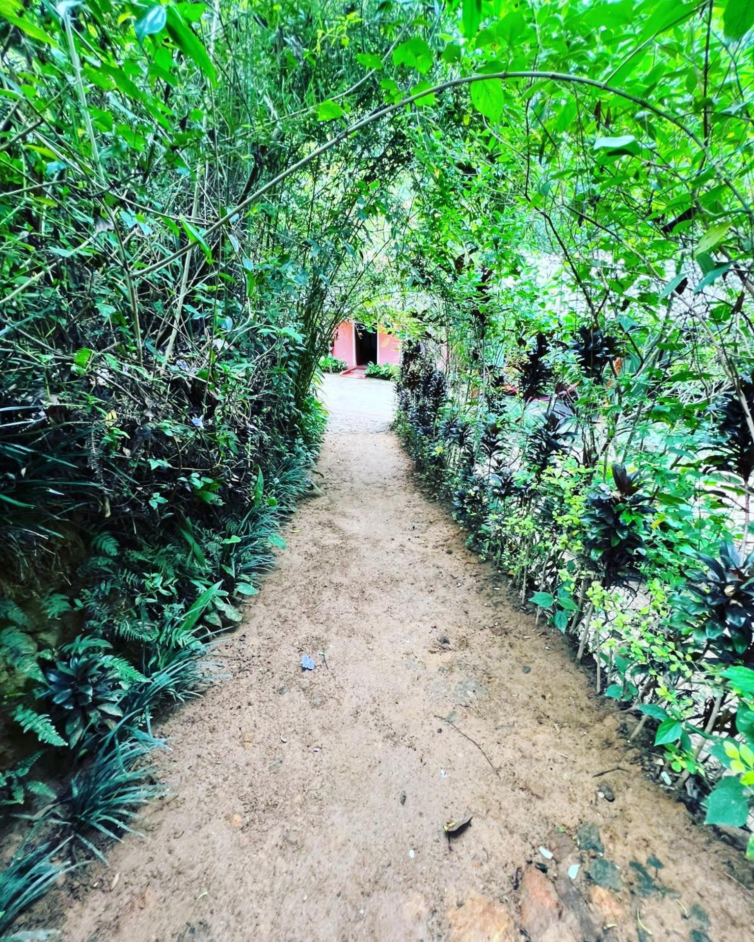 Guest house Secret Paradise