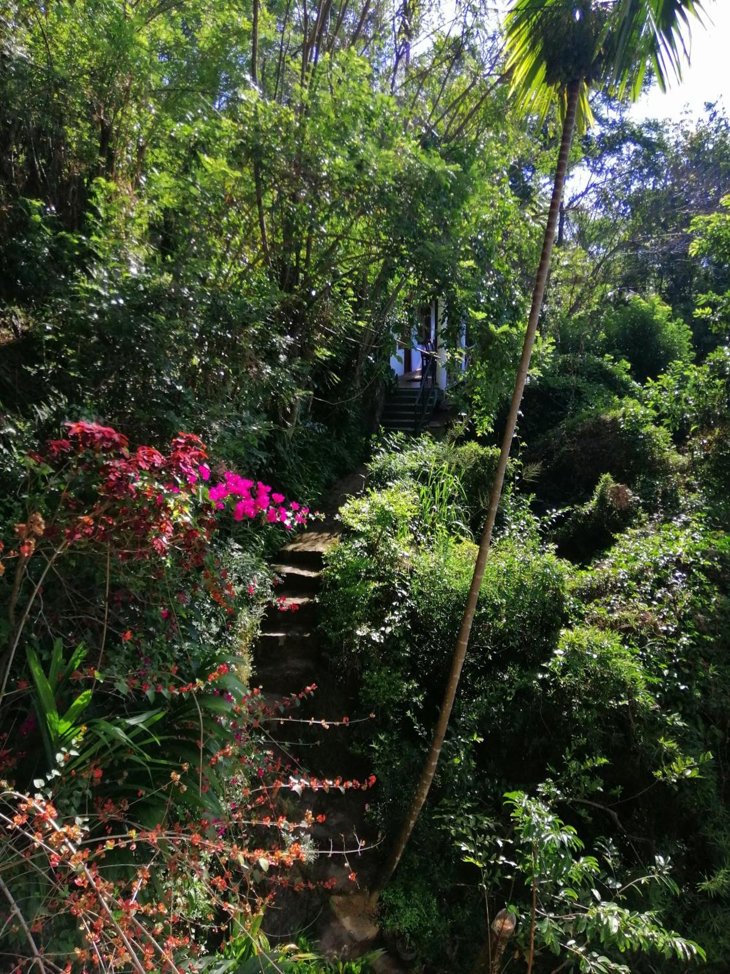Homestay Super View Ella