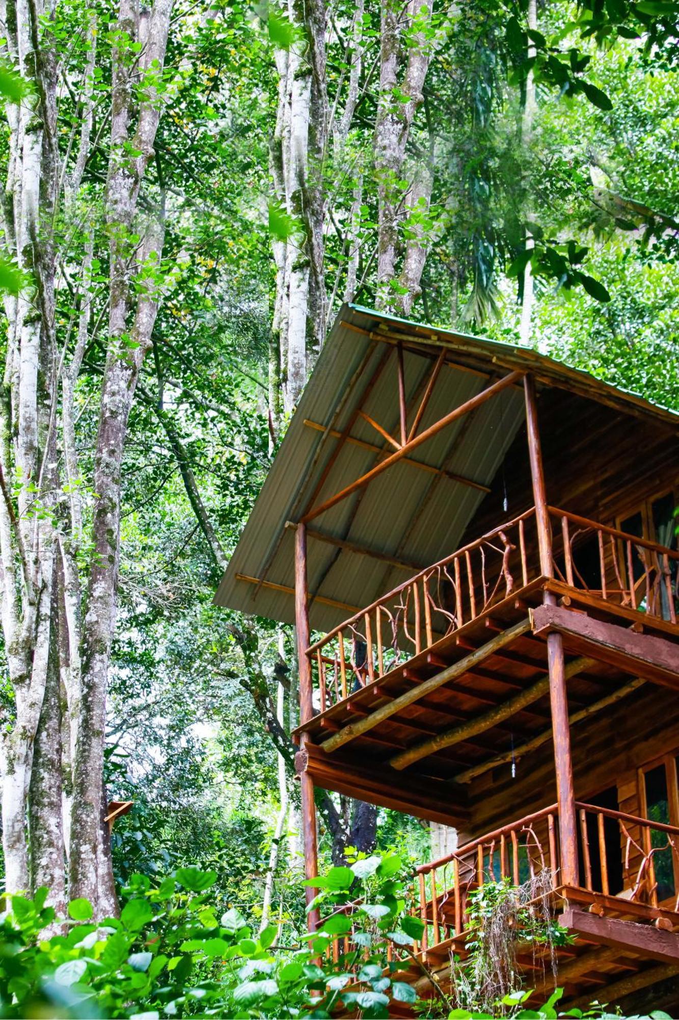 Ella Ecolodge Lodge