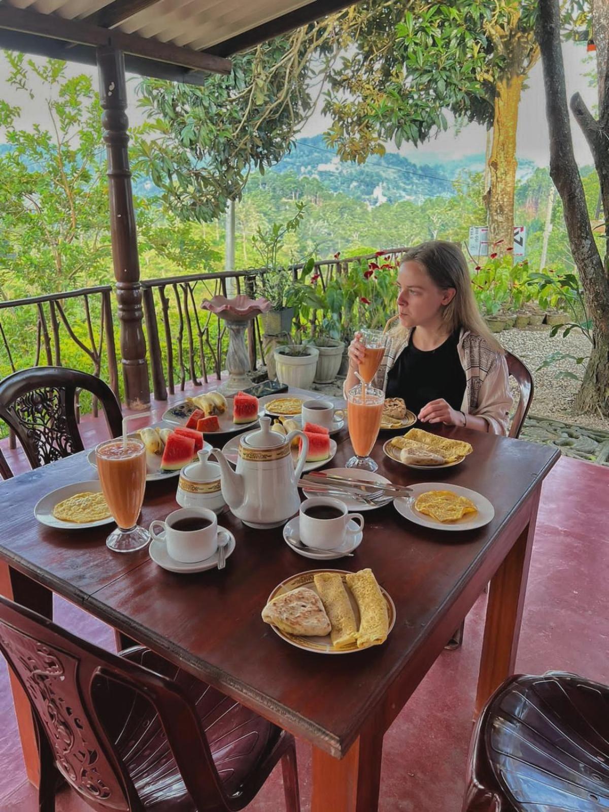 Nine Arch Guest house Ella