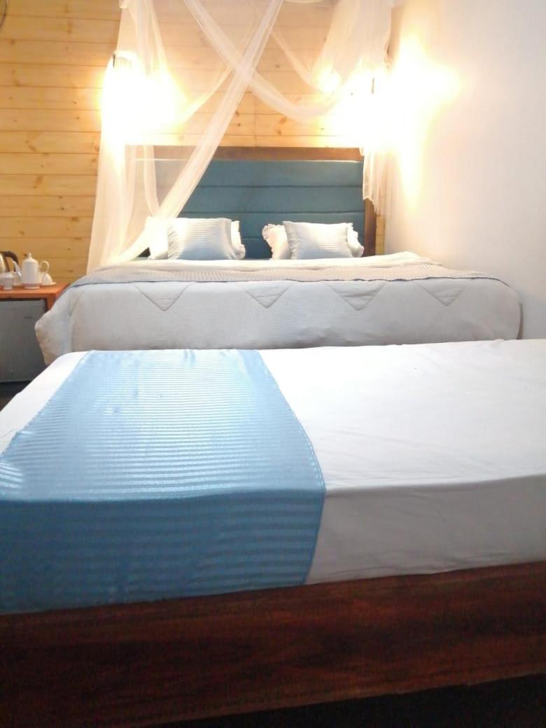 Guest house Foret Ella