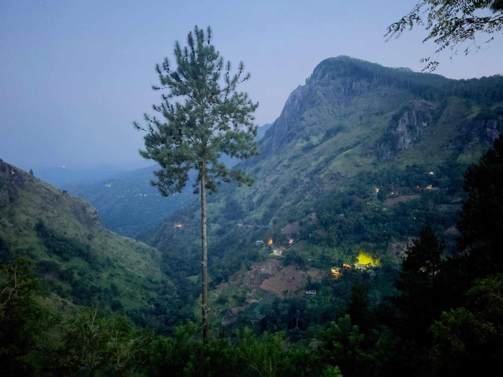 Guest house Natur's Grove