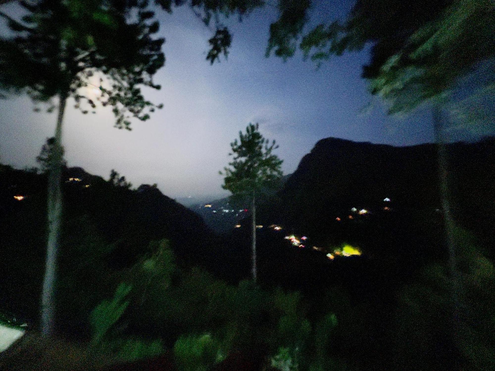 Natur's Grove *