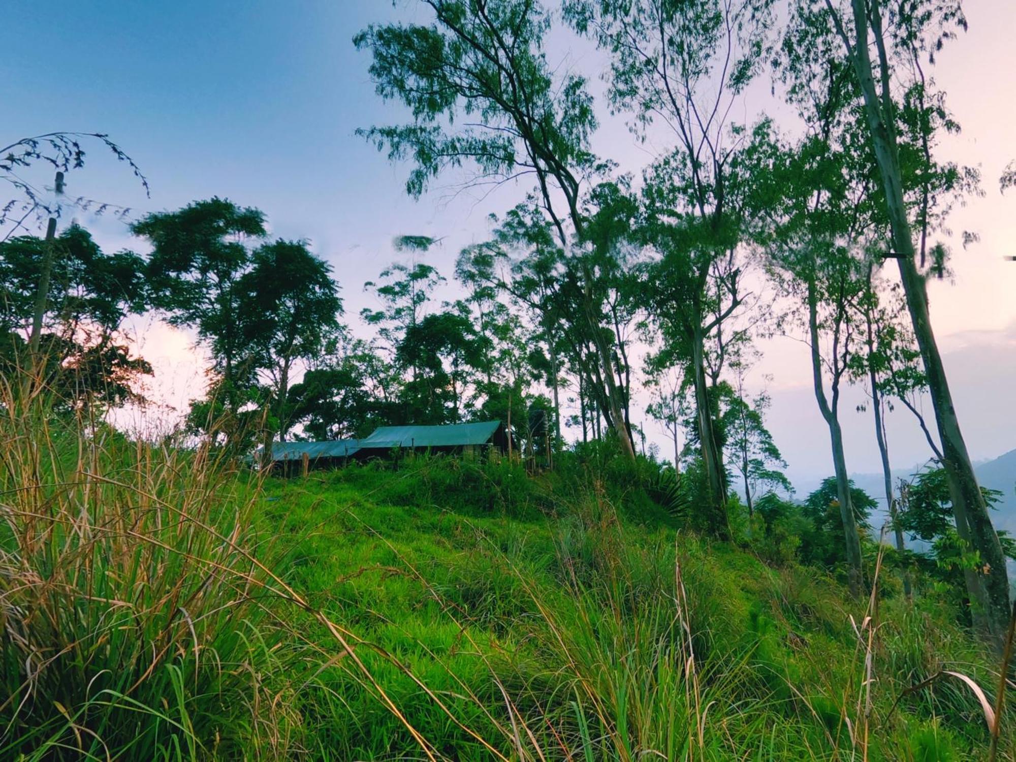Glamping Luxury tent