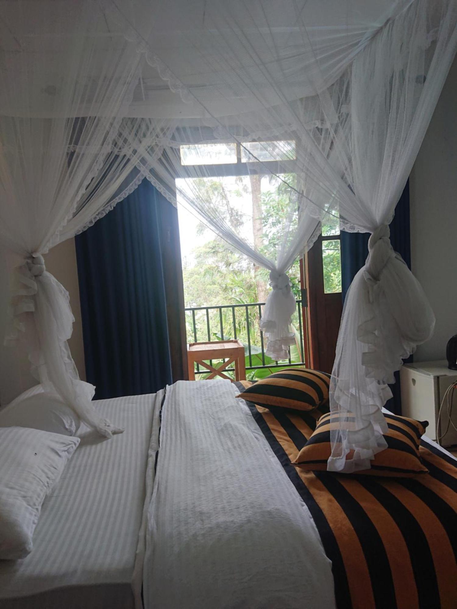 Lodge New View *