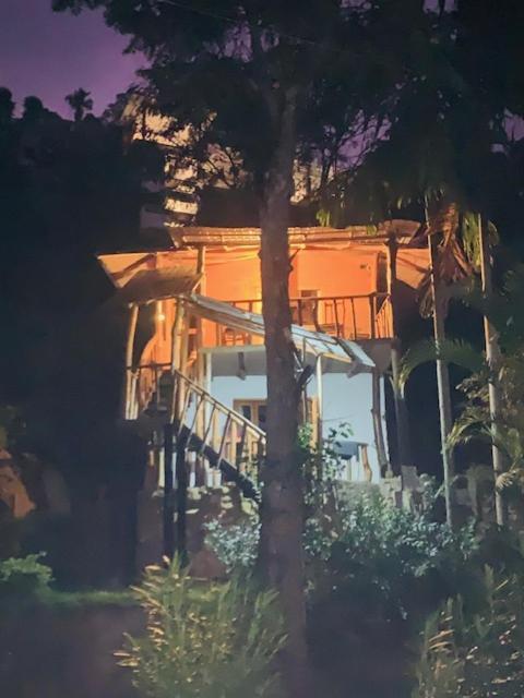 Bamboo Guest house