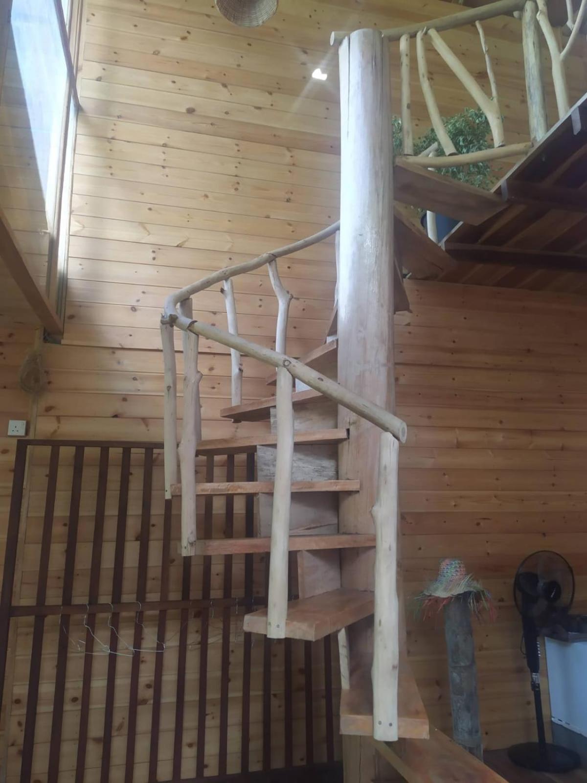 Treehouse Ella