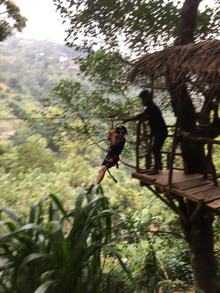 Guest house Treehouse Ella